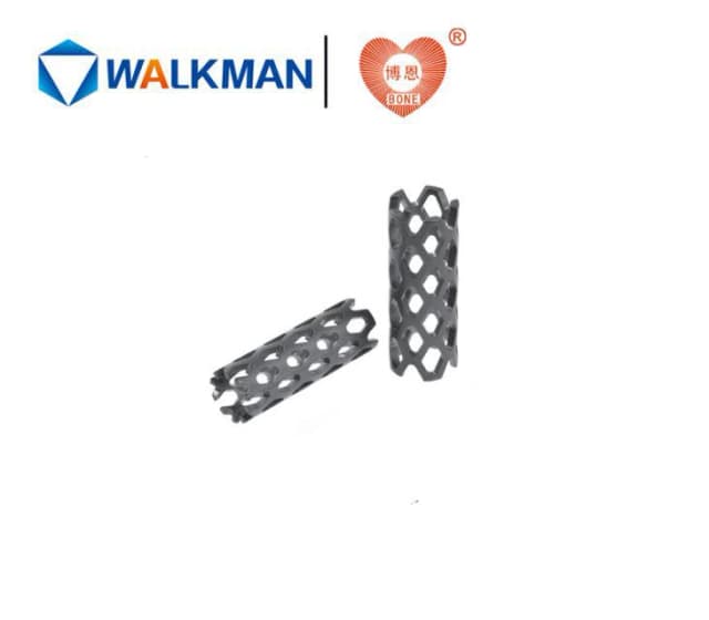 Interbody Fusion Cage Mesh